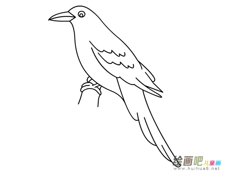 和平鸽简笔画